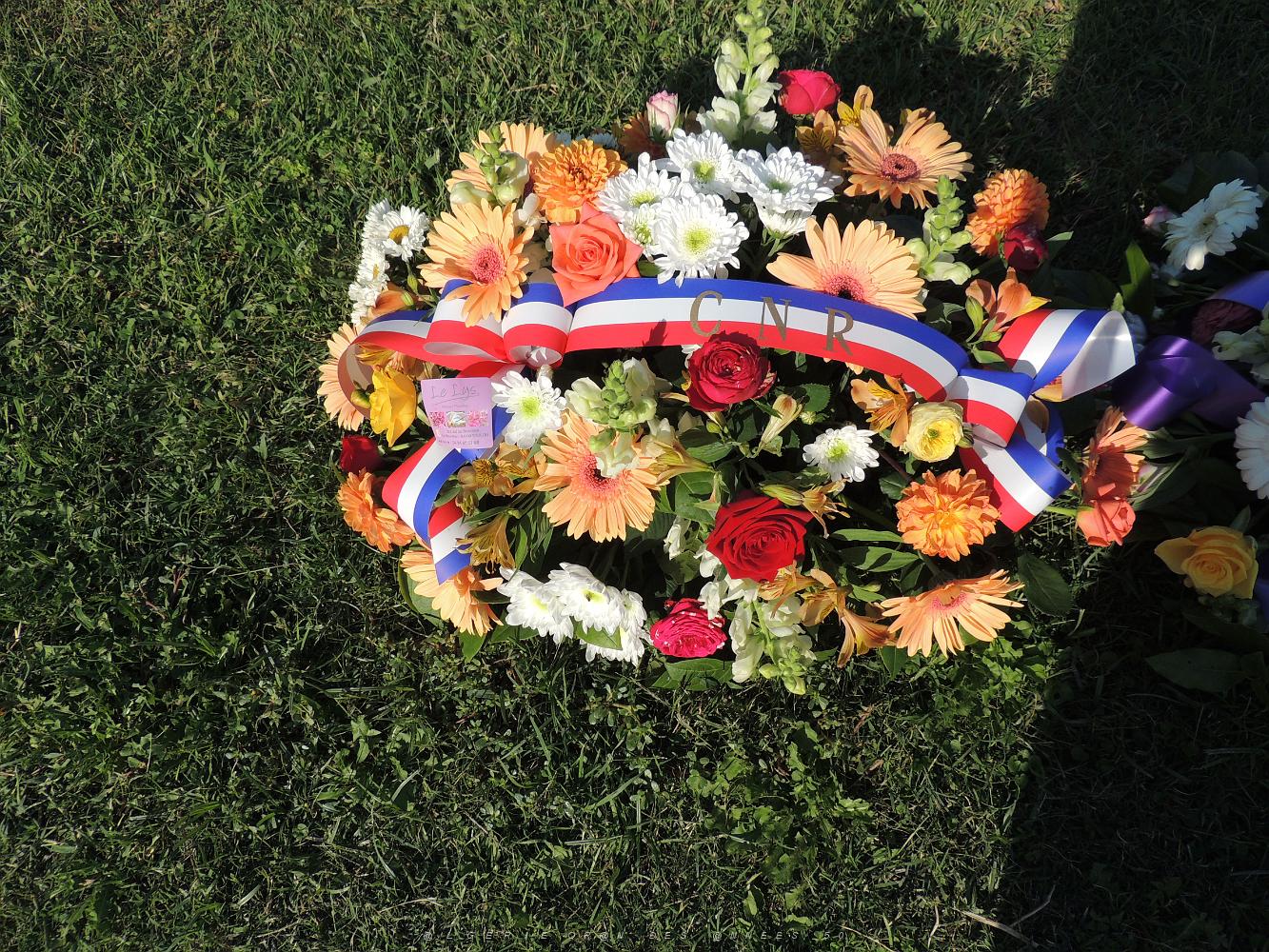 2019 09 25 TOULON HOMMAGE NATIONAL AUX HARKIS ET AUX FORMATIONS SUPPLETIVES  (2).JPG -           